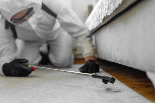 Professional Bed Bug Control technician working in Pontotoc County County, OK